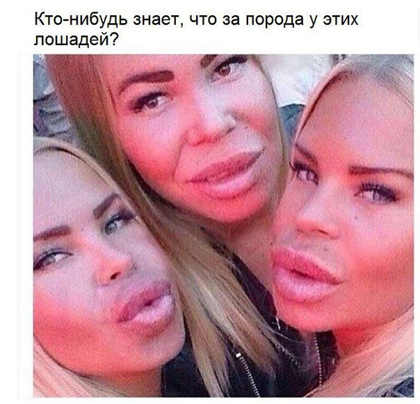 Ктонибудь знает что за порода у этих лошадей