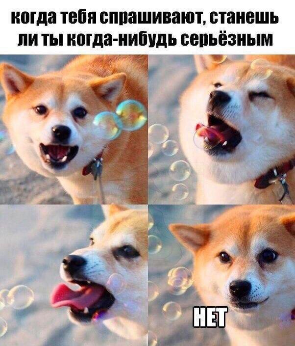 когда тебя ВШЮШИВЗЮТ станешь ЛИ ТЫ когда нибудь ВВПЬЁЗНЫМ