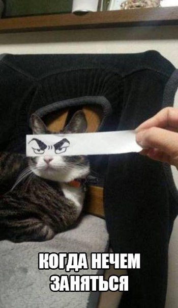 ЕЁ