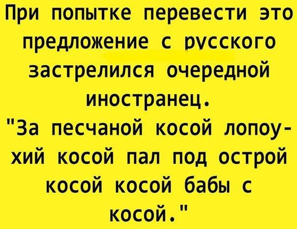ш пермь ти это стстго Здмсчиюішопшвоу тшоішщостм МММ