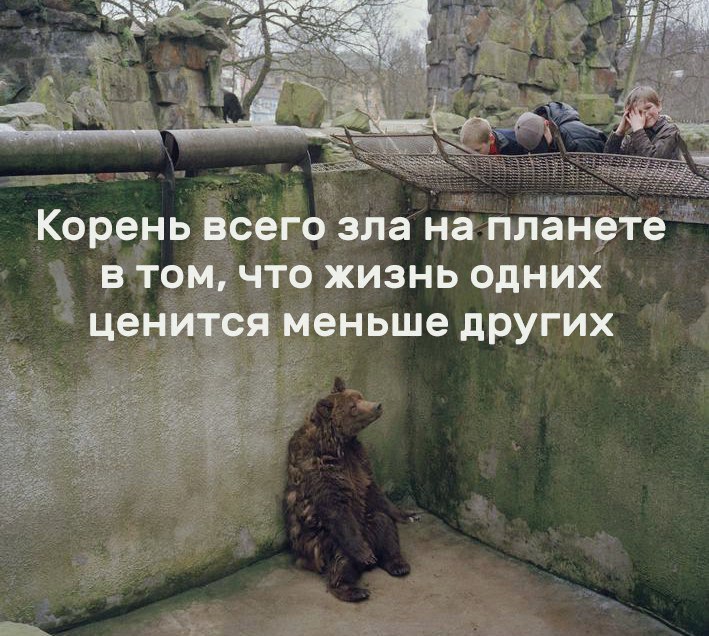 ит КОРВТНЬ всего зла на ПЛЗНЭТЕ 3 В ТО ЧТО ЖИЗНЬ ОДНИХ Юж щжетт