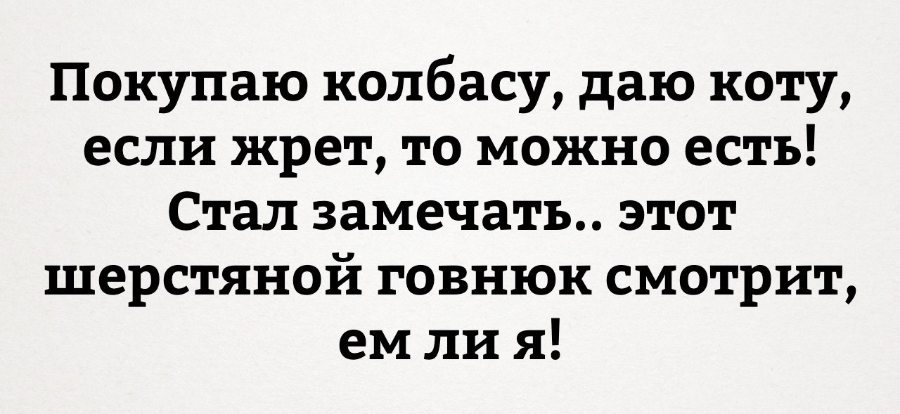 Покупаю колбасу даю коту если жрет то можно есть Стал замечать этот шерстяной говнюк смотрит ем ли я