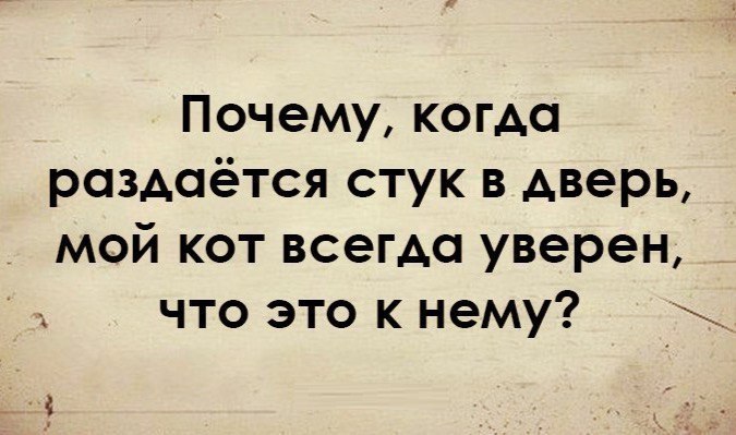 Почему когда раздаётся стук в дверь мой кот всегда уверен что это к нему
