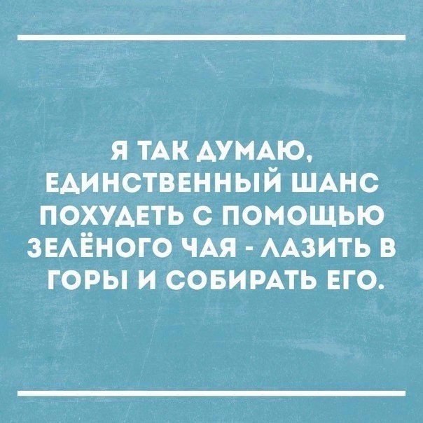 Я ТАК АУМАЮ ЕАИНСТВЕННЫЙ ШАНС ПОХУАЕТЬ С ПОМОЩЬЮ ЗЕАЁНОГО ЧАЯ ААЗИТЬ В ГОРЫ И СОБИРАТЬ ЕГО