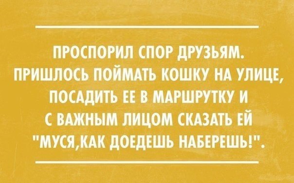 пюспогип спог дпзьям пгишлосьпоймть кошку нд улиц посддить ппшптку и шным лицом скдздтъ ЕЙ мкл дОЕдЕШЪ ншншы