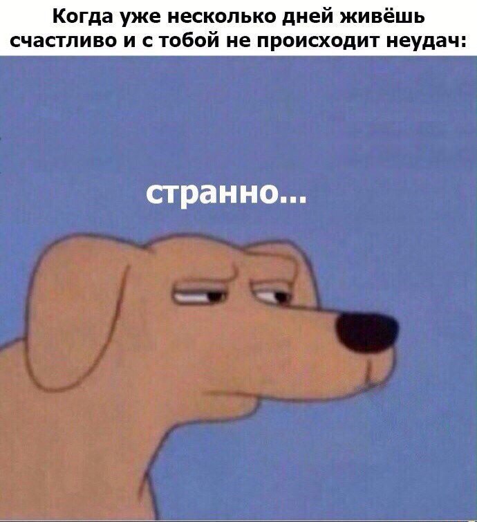 Когда уже несколько дней живёшь счастливо и с тобой не происходит неудач странно