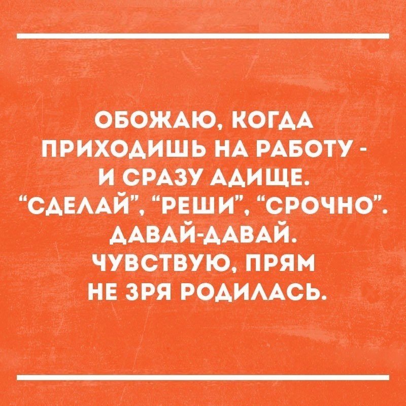 приходишь ид инт и ыш шиттщтто ип т 1