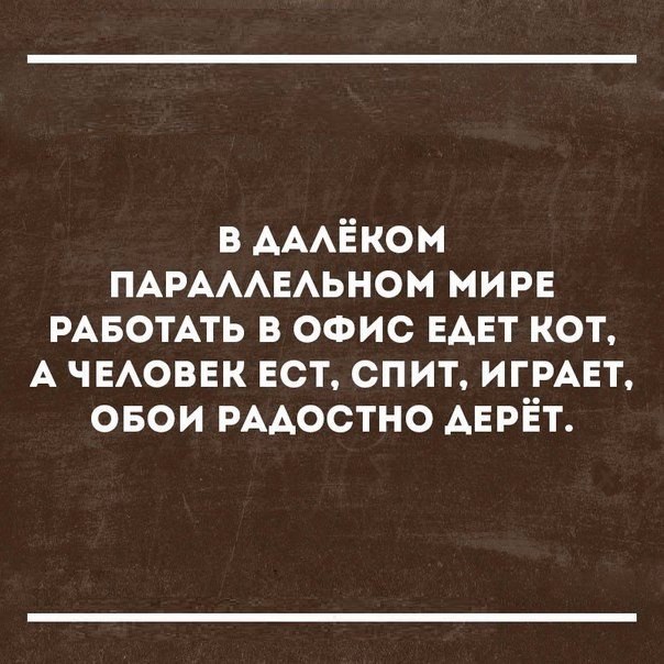 в АААЁком ПАРАААЕАЬНОМ мирв РАБОТАТЬ в офис ЕАЕТ кот А ЧЕАОВЕК ест спит ИГРАЕТ овои РААОСТНО АЕРЁТ