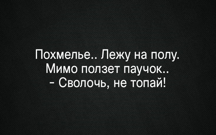 Похмелье Лежу на полу Мимо ползет паучок Сволочь не топай