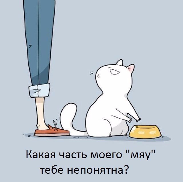 Какая часть моего мяу тебе непонятна