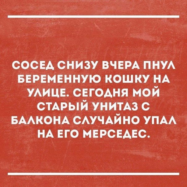 сосед снизу ВЧЕРА ПНУА Беременную кошку НА УАИЦЕ сегОАня мой СТАРЫЙ типа с БААКОНА сАучАй но УПА НА его мерседес