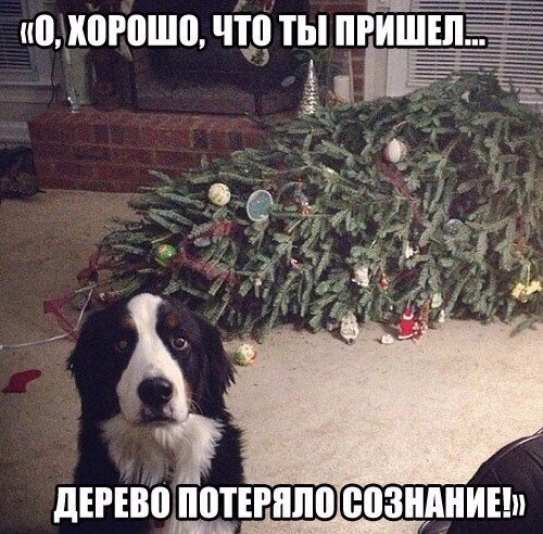 ШК1Р1Ш0ЧТПЫРИШШ дЕРЕВВЕРПЛ0 сознднинп