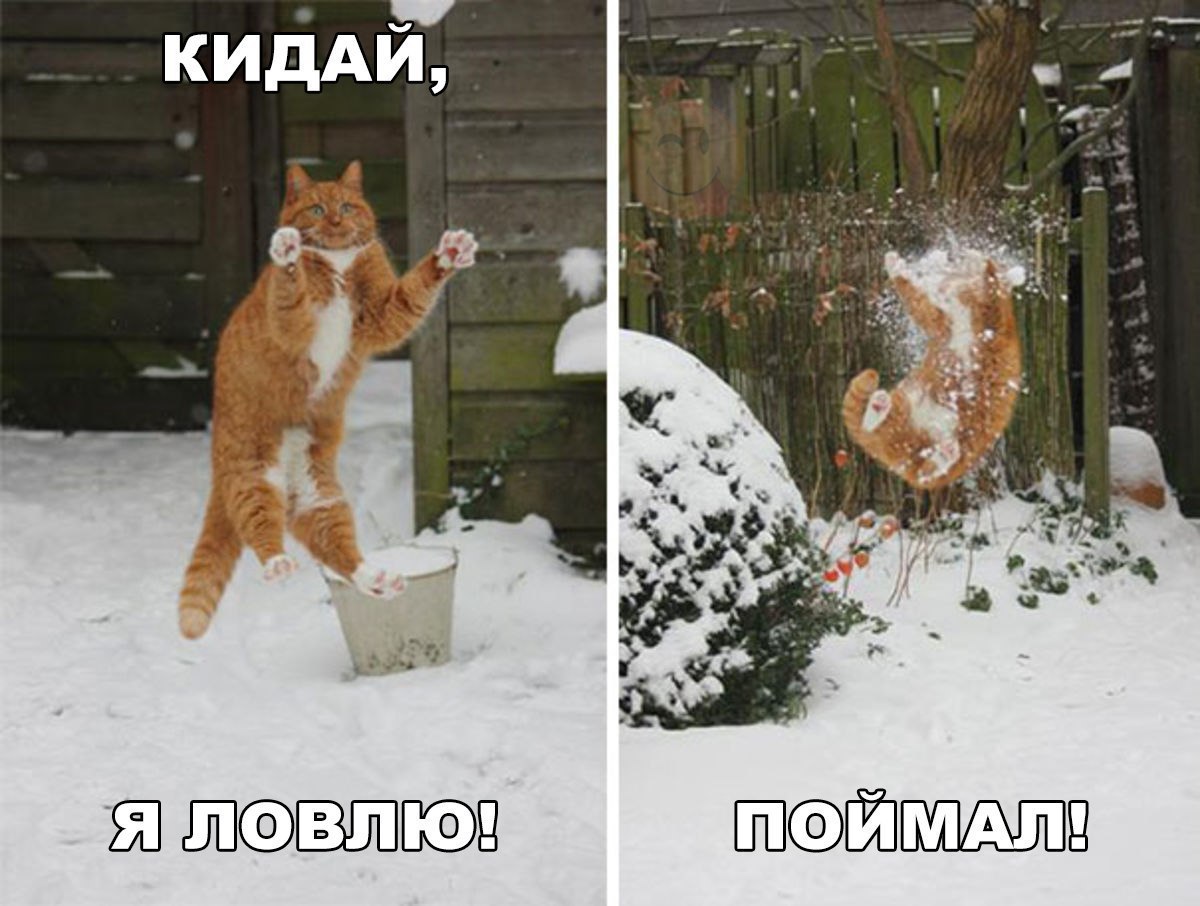 ЕЮ ШЕВ ЙЦШХЫШВ