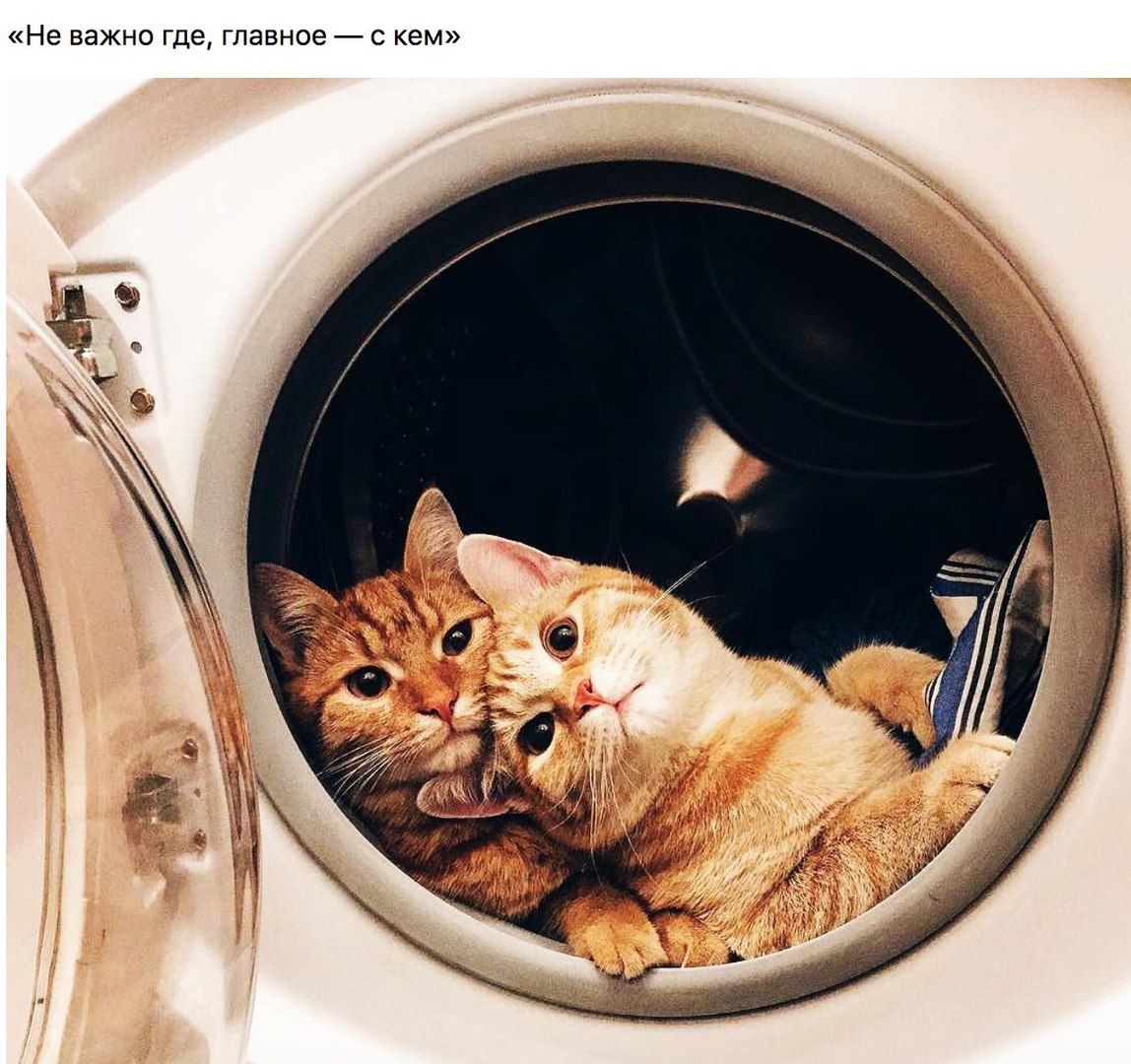 Не важно где главное С кем