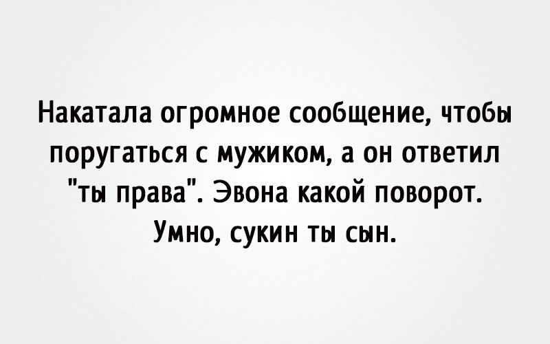 Накатала огромное сообщение чтобы поругаться с мужиком а он ответил ты права Эвона какой поворот Умно сукин ты сын