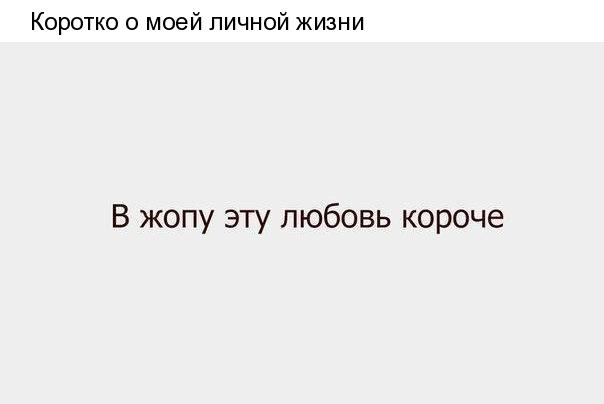 Коротко о моей личной жизни В жопу эту любовь короче