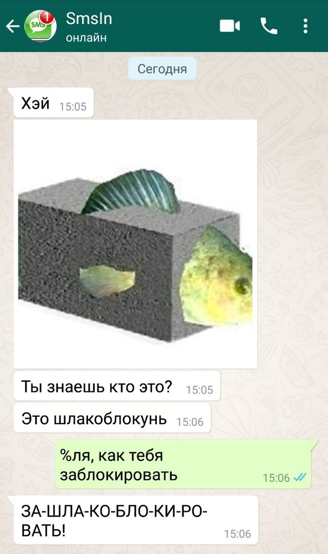 Сегодня ХЭЙ 1505 ТЫ ЗНЭЭШЬ КТО ЭТО 1505 Это шлакоблокунь тз 06 ля как тебя заблокировать ЗАШЛА КО БЛО КИ РО ВАТЬ 1506 1506