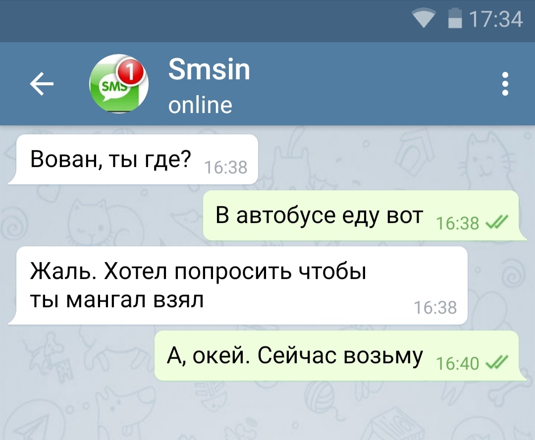 Вован ты где 1638 В автобусе еду вот д Жаль Хотел попросить чтобы ты мангал взял 338 А окей Сейчас возьму 40