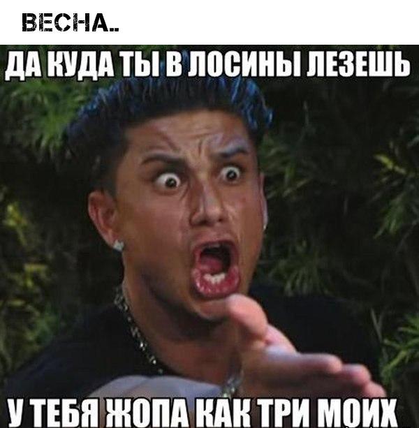 ВЕСНА дд КУДА ТЫ В лосины ЛЕЗЕШЬ тввн шв тги моих