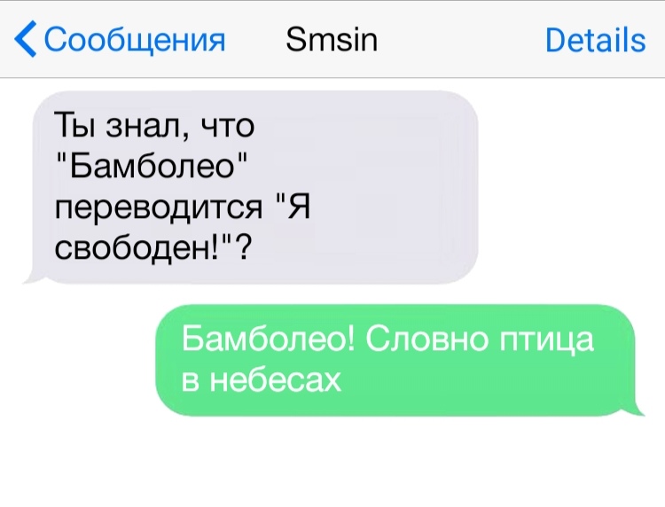 Сообщения Зтзіп Ветаііз Ты знал что Бамболео переводится Я свободен Бамболео Словно птица в небесах