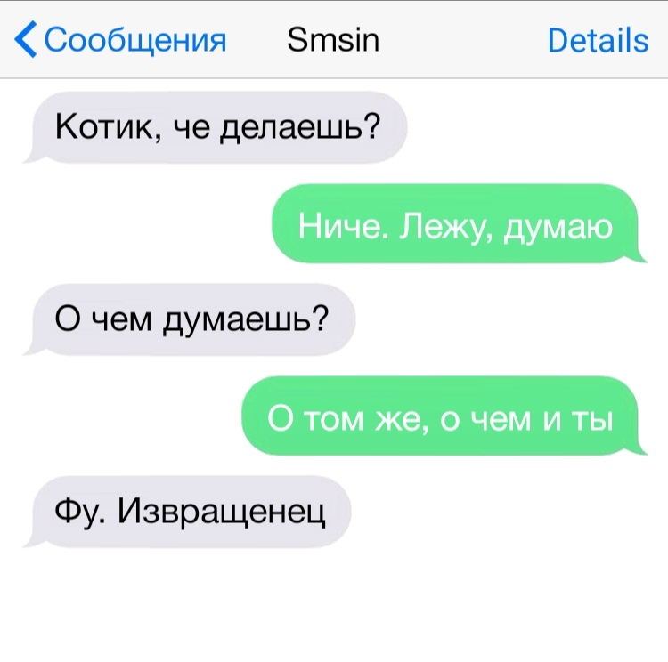 Сообщения Зтзіп Ветаііз Котик че делаешь Ниче Лежу думаю О чем думаешь О том же о чем и ты Фу Извращенец