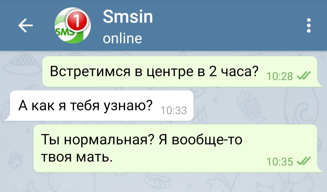 Встретимся в центре в 2 часа 1028 А как я тебя узнаю Ты нормальная Я вообще то твоя мать 1035