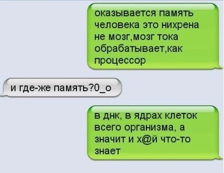 оказывается ПВМЯТЬ человека это нихрена не МВЗПМОЗГ ТОКВ обрабатываетмак процессор и где же память0_о _ в днк в ядрах клеток всего организма а значит и хй что то знает