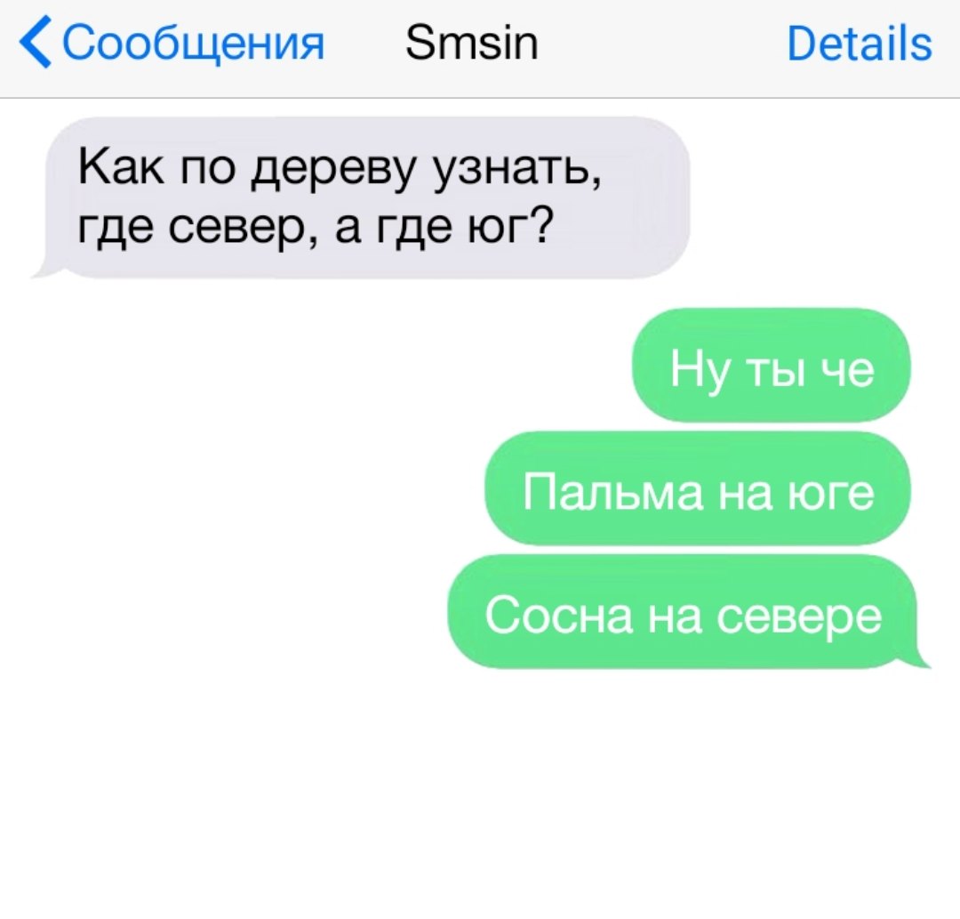 Сообщения Зтзіп Весаііз Как по дереву узнать где север а где юг Ну ты че Пальма на юге Сосна на севере