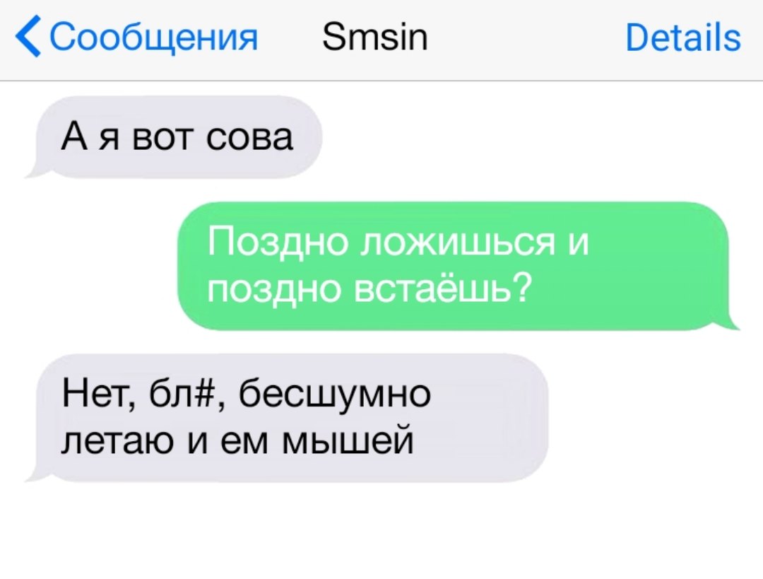 Сообщения Зтзіп Ветаііз А я вот сова Поздно ложишься и поздно встаёшь Нет бл бесшумно летаю и ем мышей