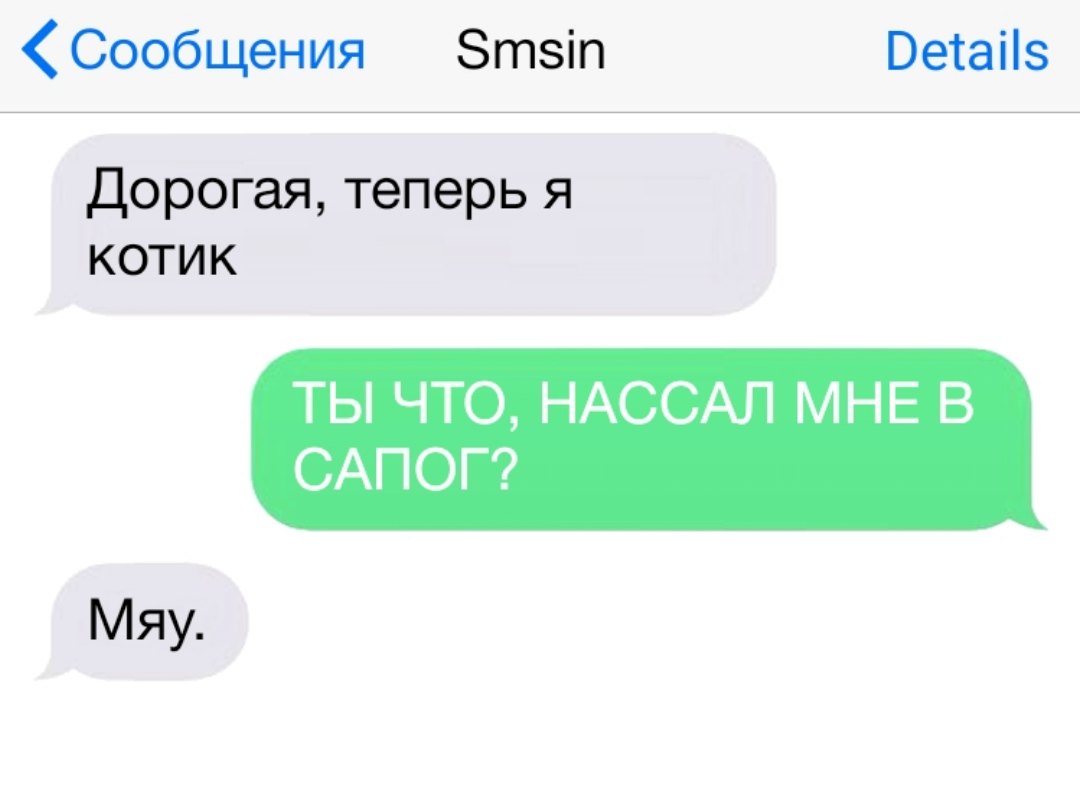 Сообщения Зтзіп Ветаііз Дорогая теперь я котик ТЫ ЧТО НАССАЛ МНЕ В САПОГ Мяу