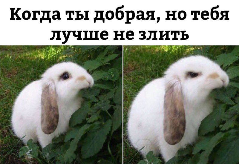 Когда ты добрая но тебя лучше не з_лить