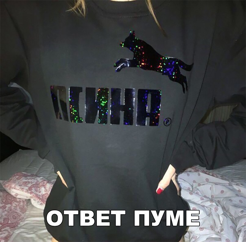 ОТВЕТ ПУМЕ