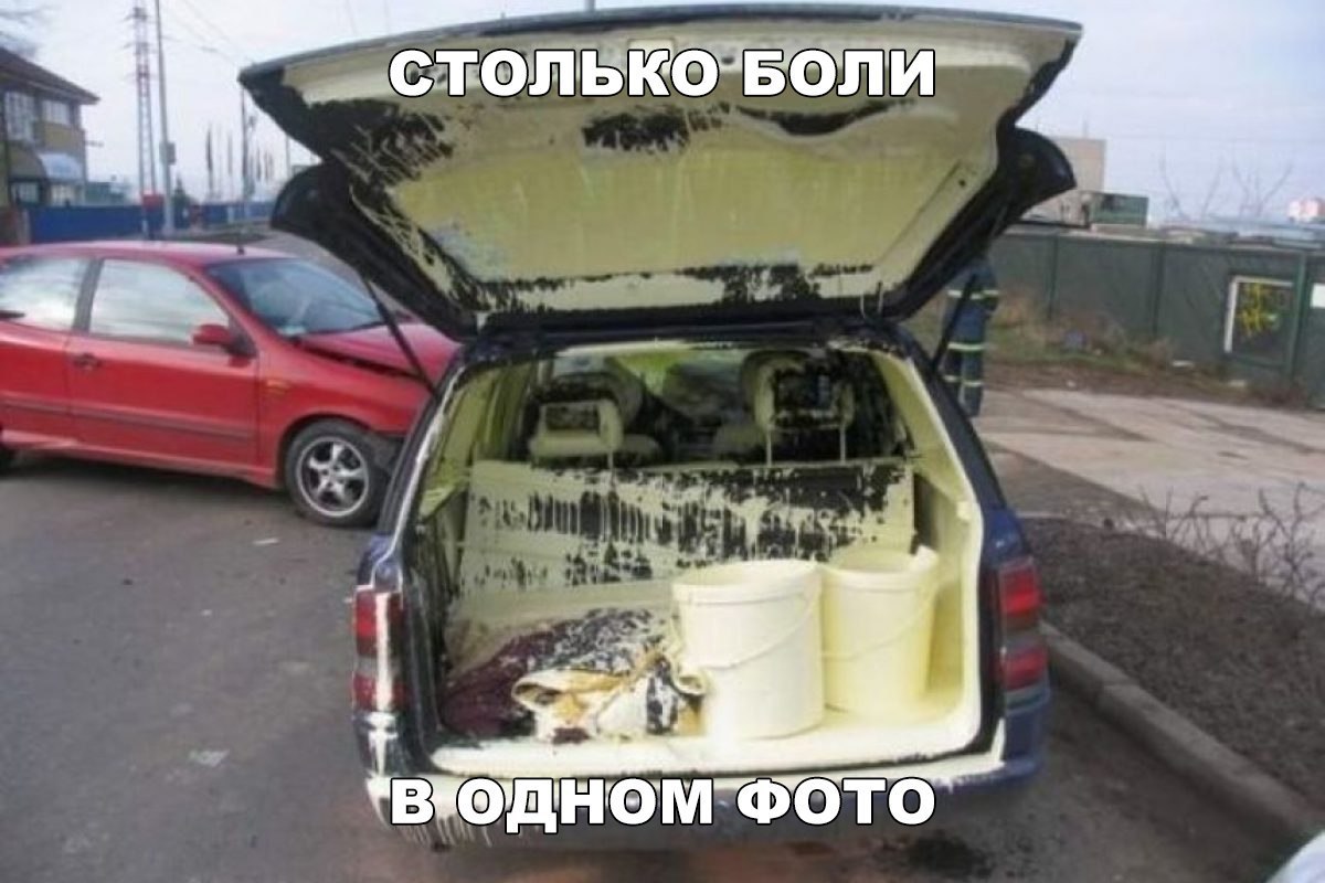 ___4 ВУФДНФМ7ФОТО