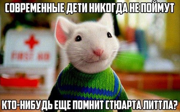 ппрвмвнныъдвтиникпгдШЕШПШШП ИТП НИБУДЬ ЕЩЕ ППМНИТ ПШАРТАЫ