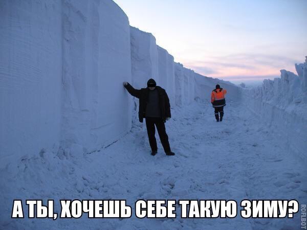 ТЫ ШЧЕШЬ СЕБЕ ТАКУЮ ЗИМ