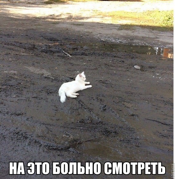 нд ЗП БППЫЮ ВМВТРПЬ