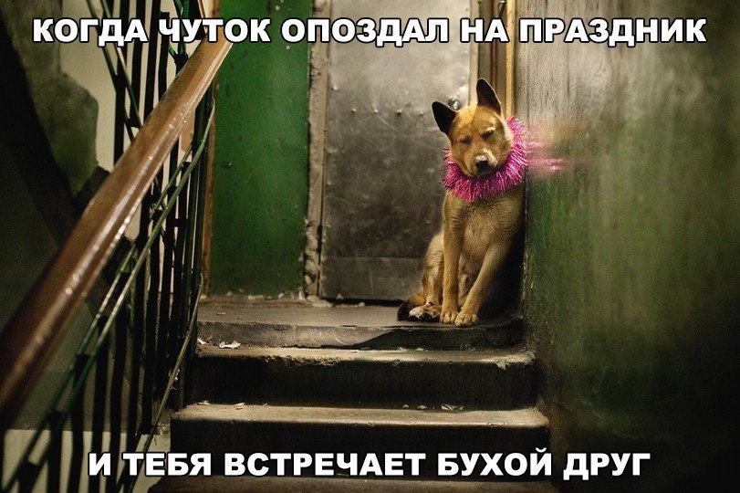 ГГ МНЁБЯ встгвщвтэухой друг
