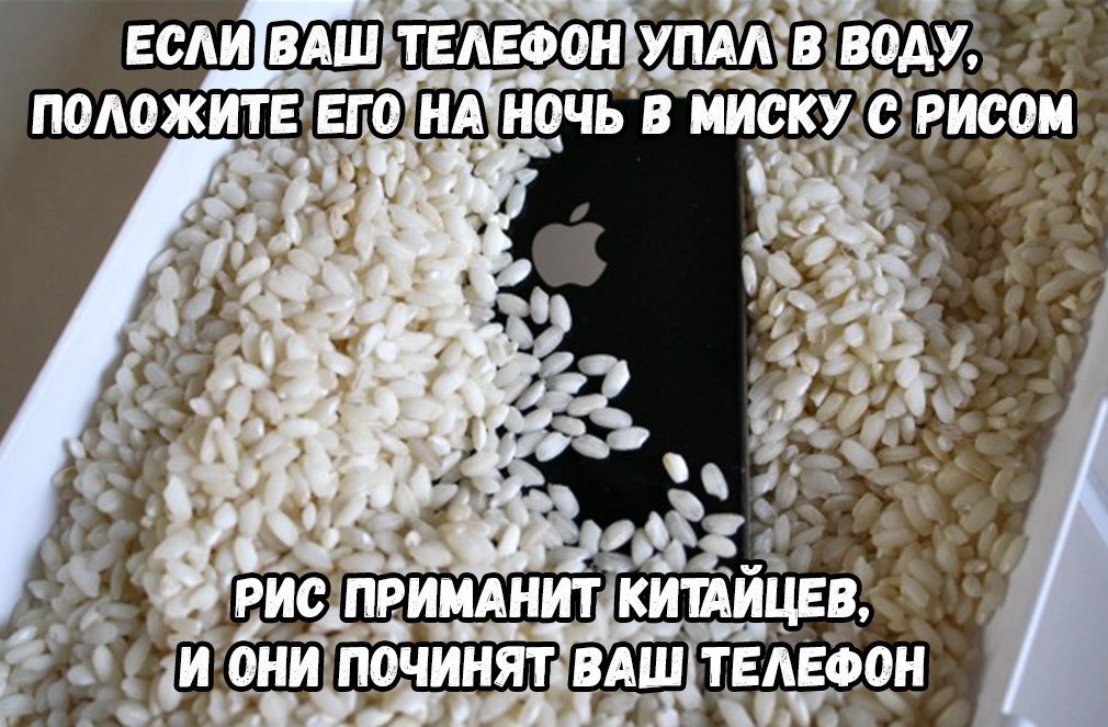 Иочь в миску