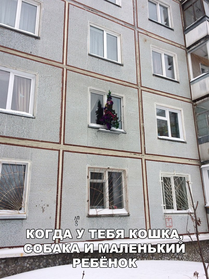 РЕБЁНФК