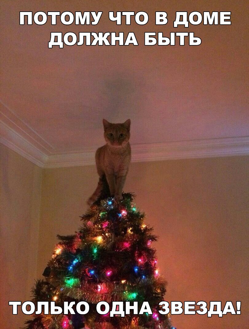 ПОЦОЩУ ЧЦО В дОЦЕ БЫТЬ