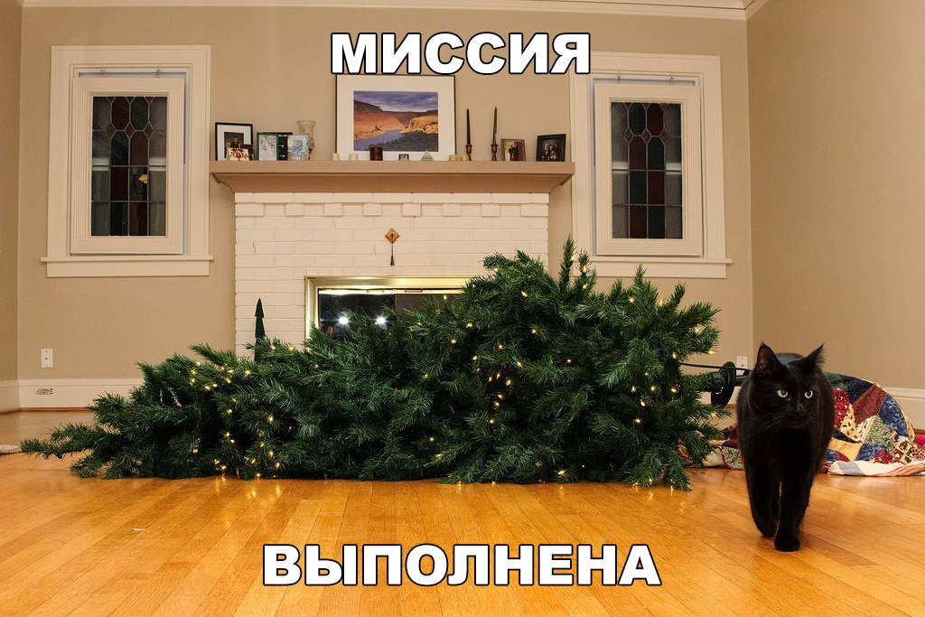 ЫТ НП 5 а ЗЗГЫЗШЁШЦЁ ЗЕЁШЪ