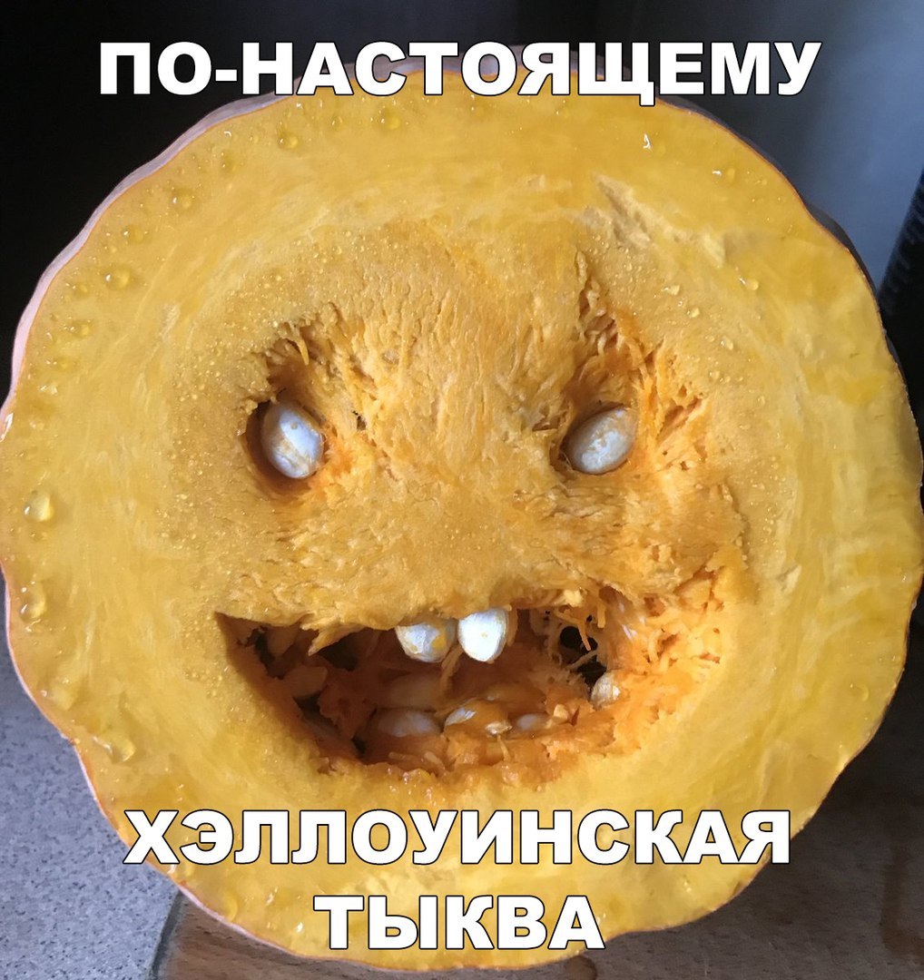 по нАсотэящвму _хэплоуинскдя тыквд