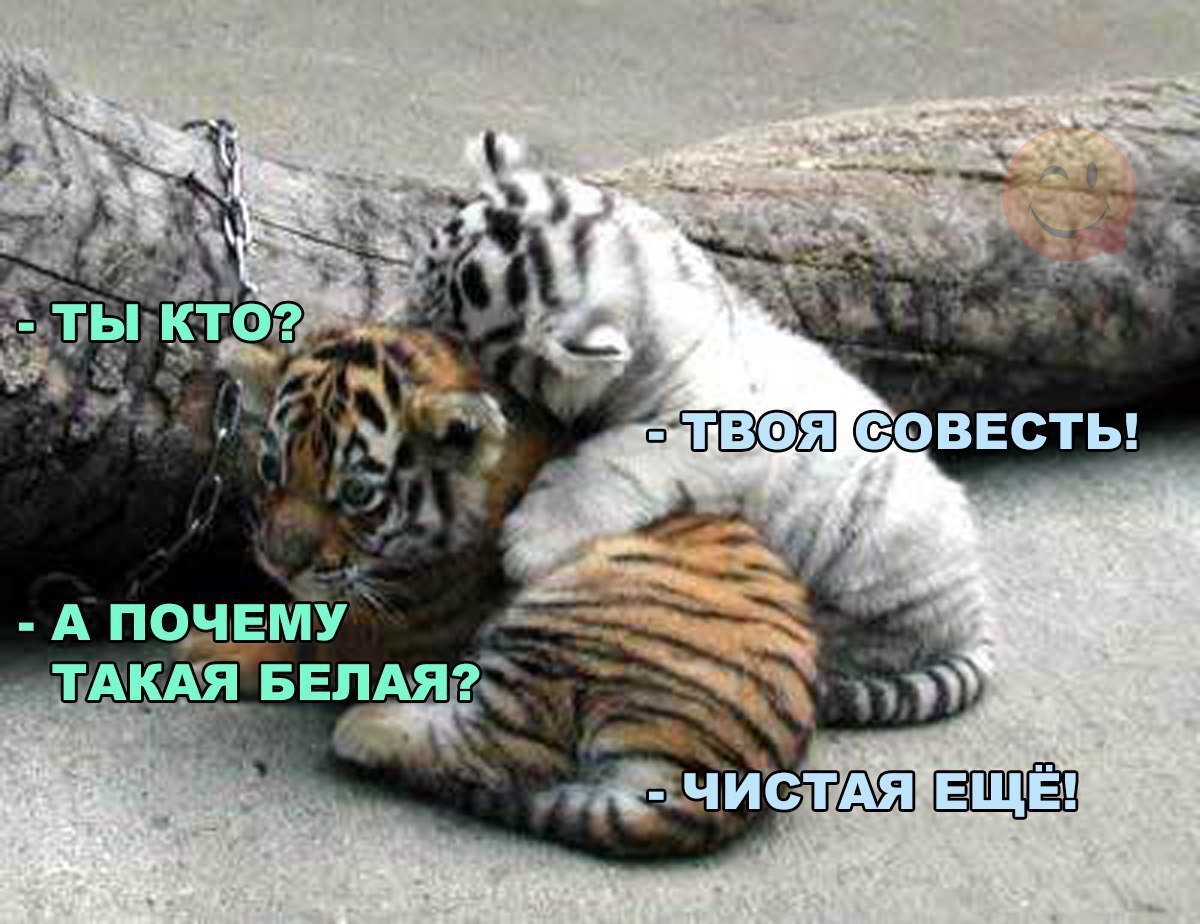 А ПЭЁЁМУ видят ч