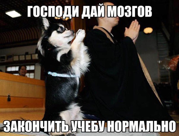ШВПЦДИ ддЙ МПЗШВ _ ЁЁДНПНЧИТЁЕБУ нормипьнп