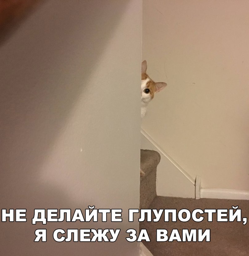 НЕ ДЁЙЙЛЕ плшоствй Я СЛЕЖУ ЗА ВАМИ