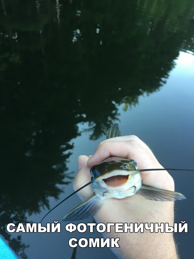 САМЫЙ Фотогвый