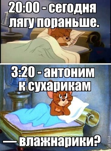 91650023 сегодня ідяш попаньше 1 ц