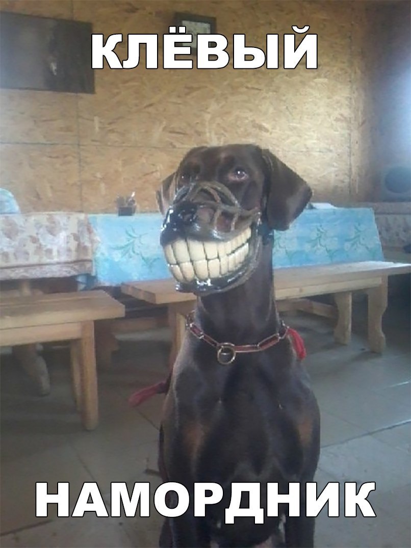 клёвый