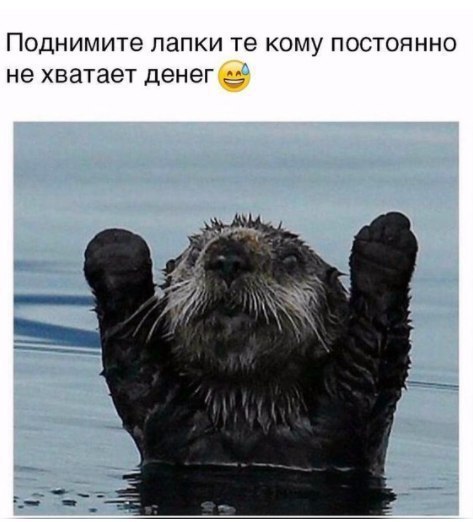 Поднимите ЛЭПКИ те КОМУ ПОСТОЯННО не хватает денеге