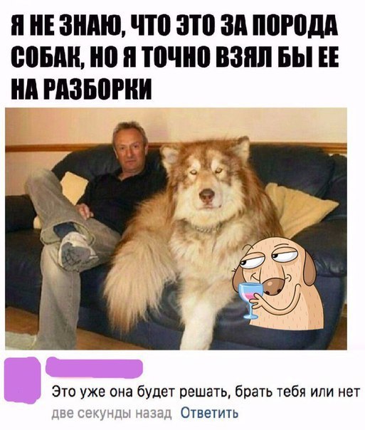 Е ЗНАЮ ЧШ ЗШ зд погодя МБШ ТВ ВЗЯЛ БЫ ЕЕ нп РПЗБВРНИ Это уже она будет решать брать тебя или нет и т Ответить